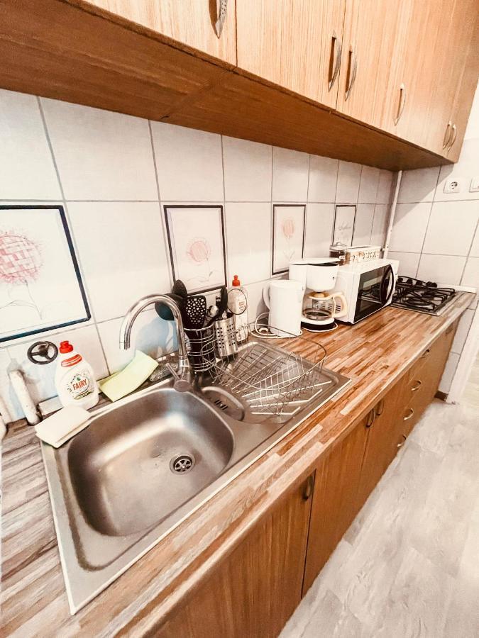 Ultracentral Big Apartment - Near The Opera Square P17 Timişoara Exterior foto
