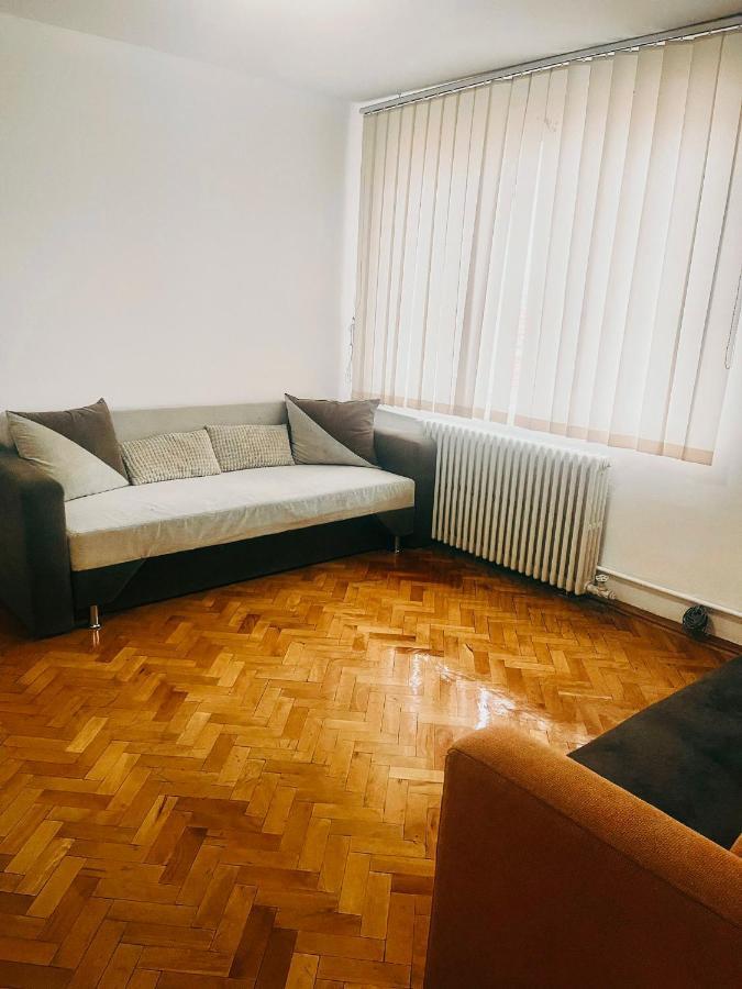 Ultracentral Big Apartment - Near The Opera Square P17 Timişoara Exterior foto